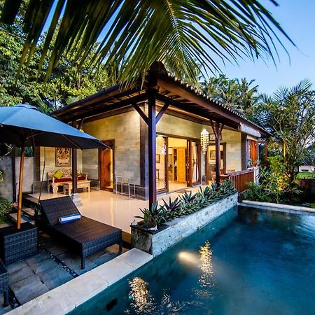 Villa Natha Ubud Dış mekan fotoğraf