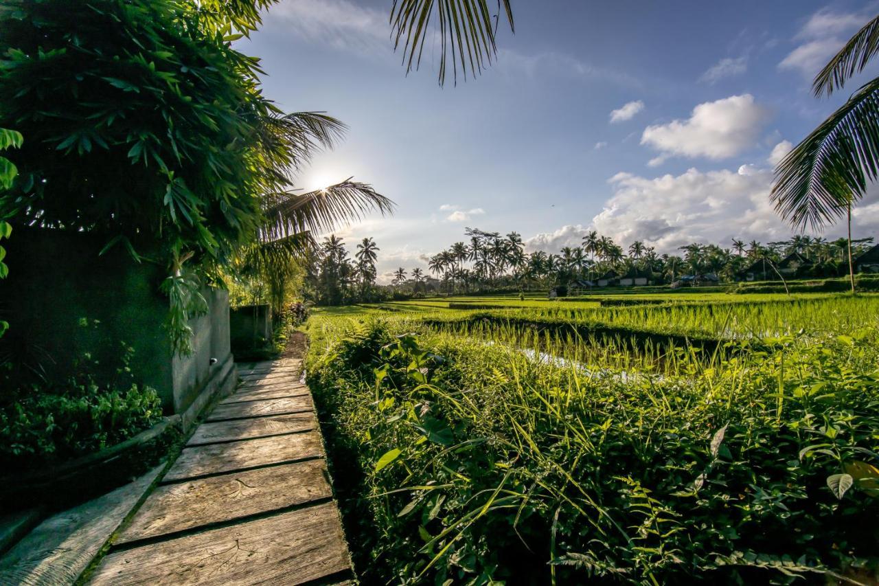Villa Natha Ubud Dış mekan fotoğraf